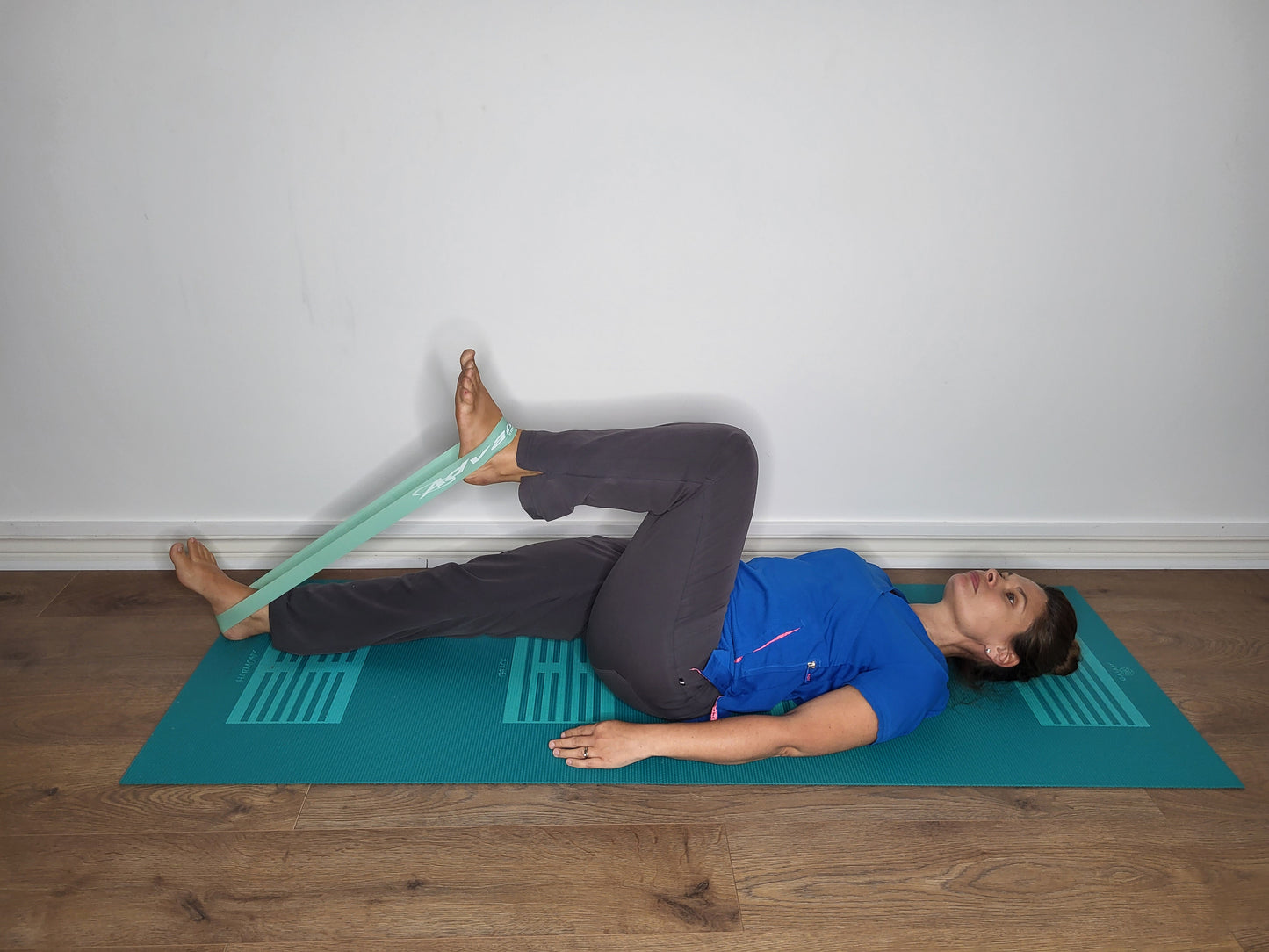 Resistance Bands (set of 5)